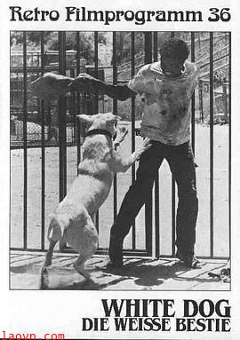 白狗【影视解说】