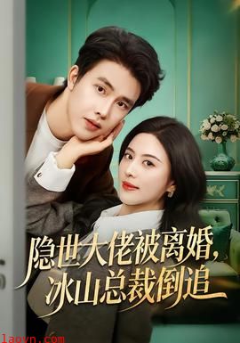 隐世大佬被离婚，冰山总裁倒追