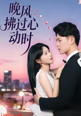 晚风拂过心动时