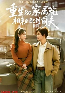 重生80家属院，相亲匹配到前夫