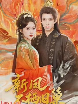 新凤不栖旧巢
